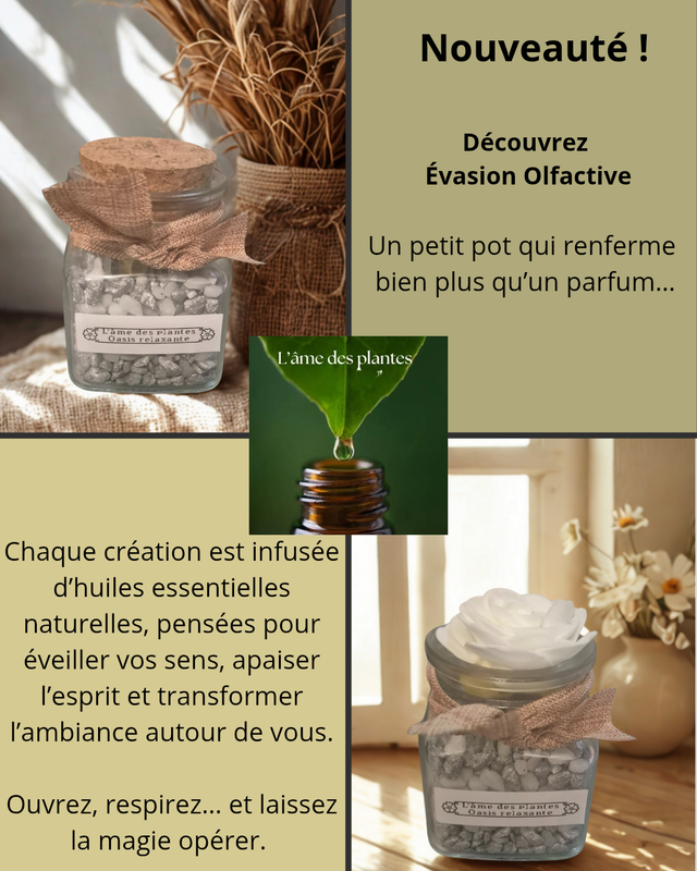 Evasion olfactive / Brume apaisante 