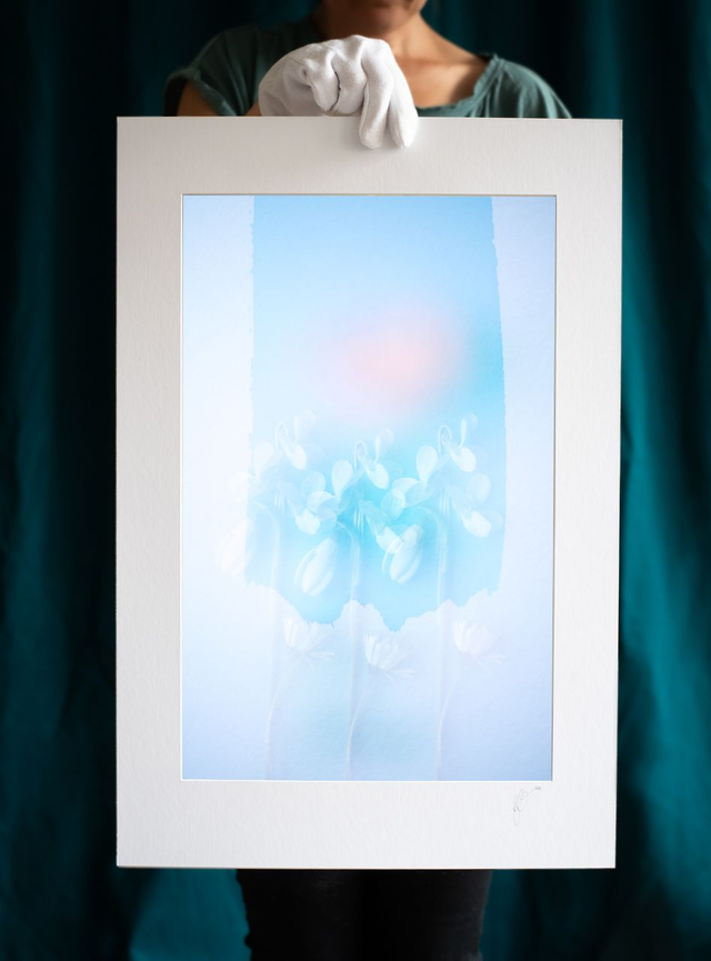 Collection du printemps * 10