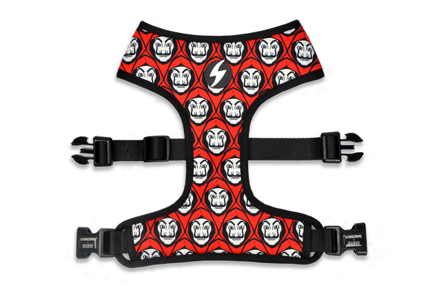 LCDP Mask Neo Mesh