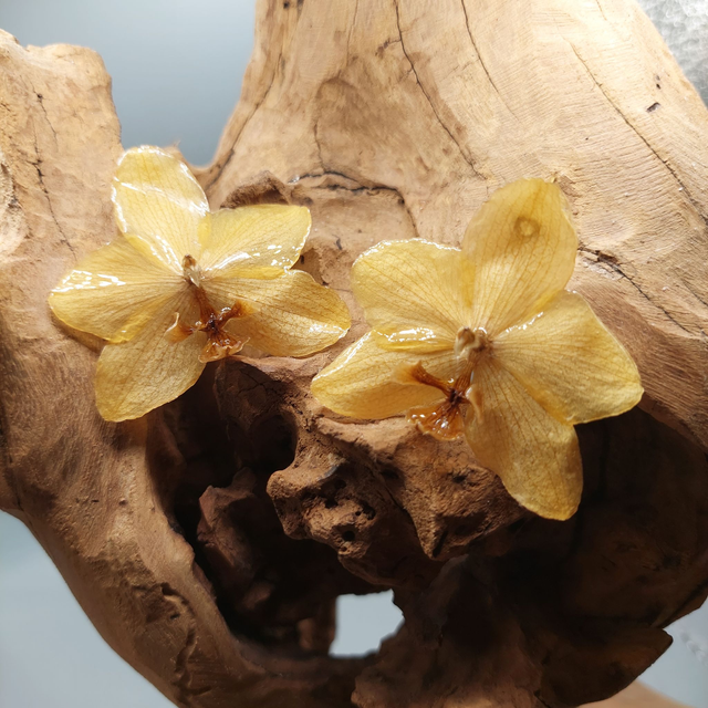 Boucles d’oreilles Orchidée – Bijou floral fait main