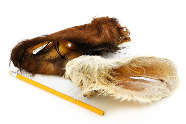 Rinderohren mit Fell 5 Stück