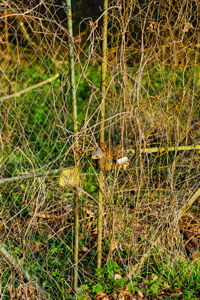 Portail abandonné