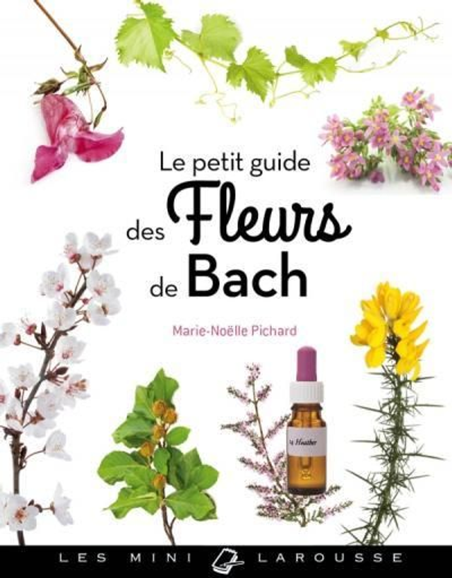 Consultation fleurs de Bach + flacon personnalisé 