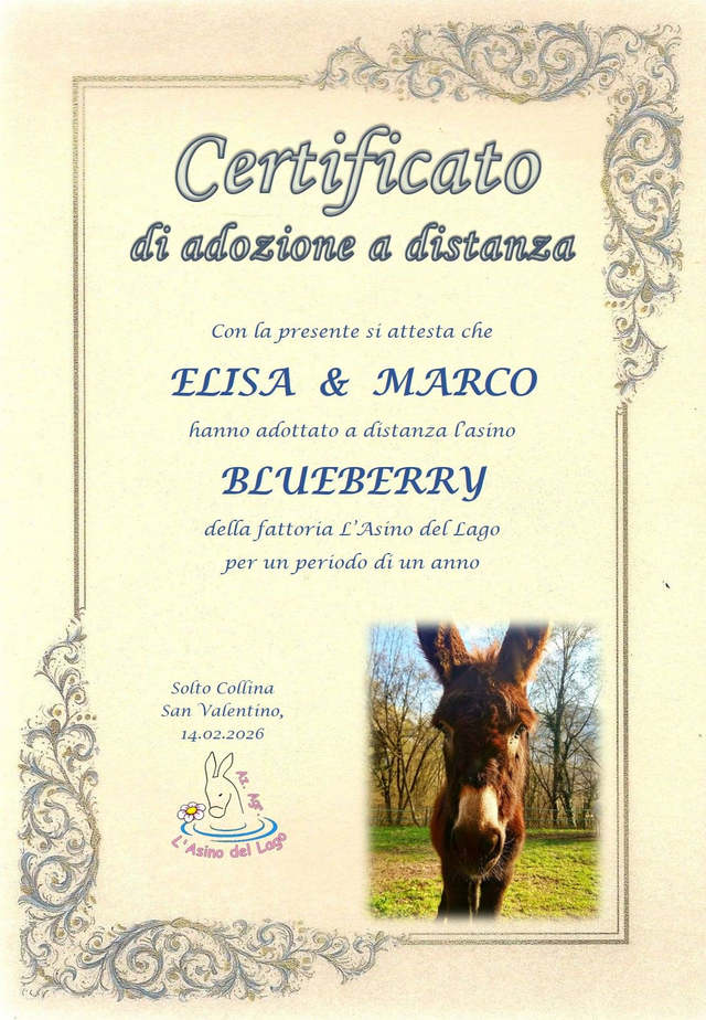 Adozione di coppia - Speciale San Valentino