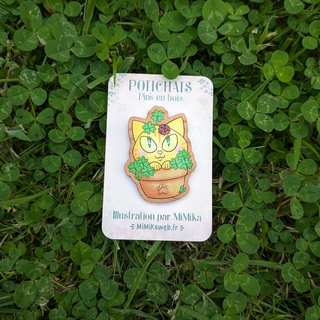Pin's Potichat mystère
