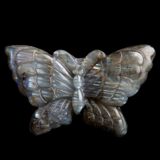 Papillon labradorite