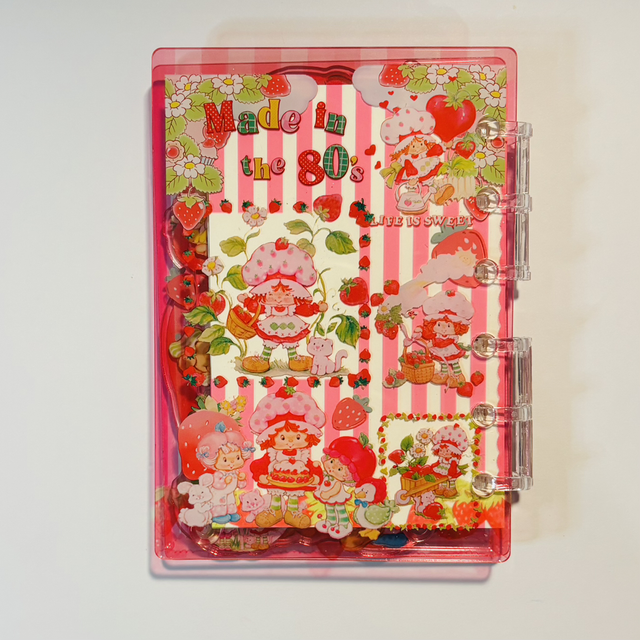 Acrylic Strawberry Shortcake themed shaker notebook