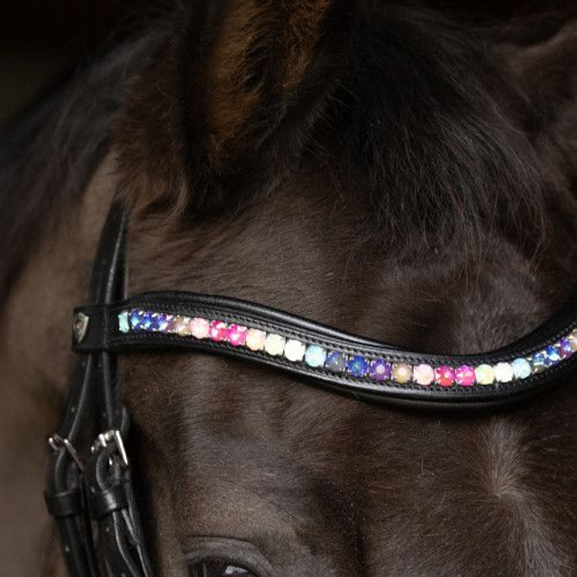 ProPresicce Signature Curved Diamante Browband