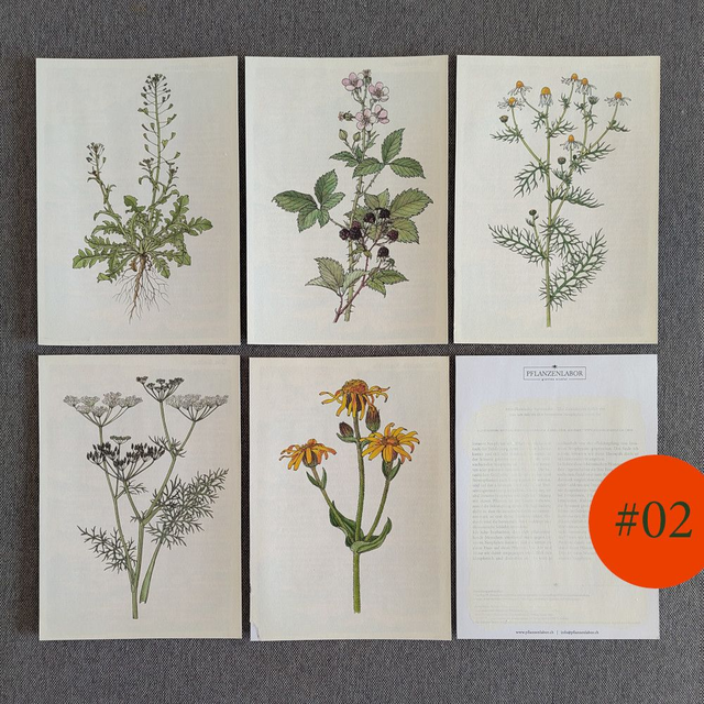 Grusskarten aus Robert Quinche's Buch - 5St