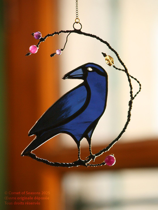 Petit corbeau de nuit