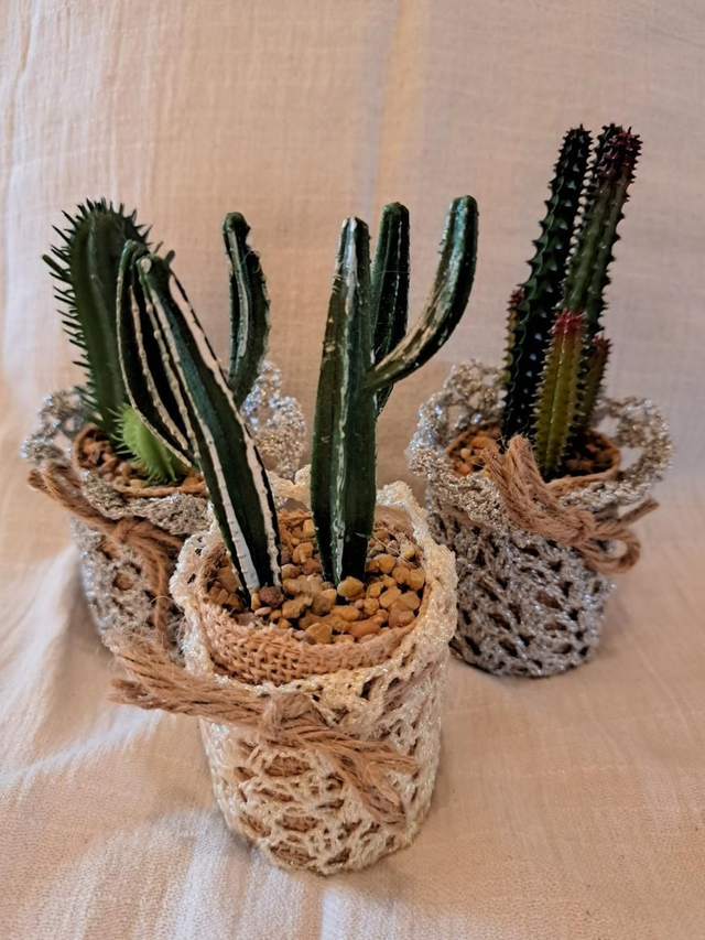 Décoration faux cactus