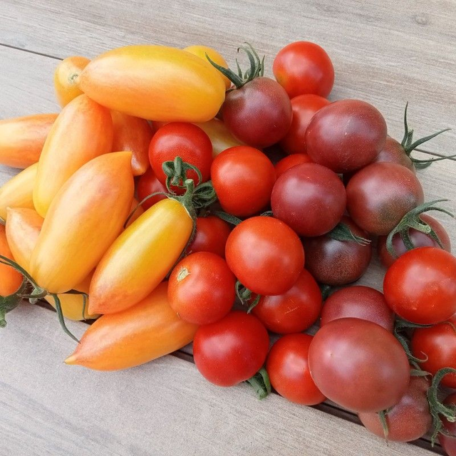 Tomate cocktail 250g