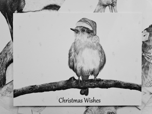Christmas Robin Greetings Card 