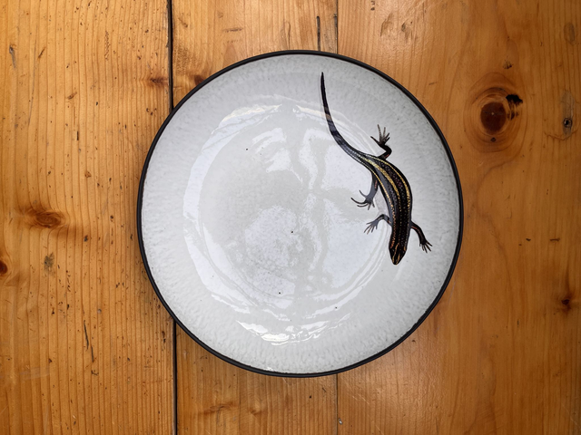 Pasta Teller Salamander (MSM) 