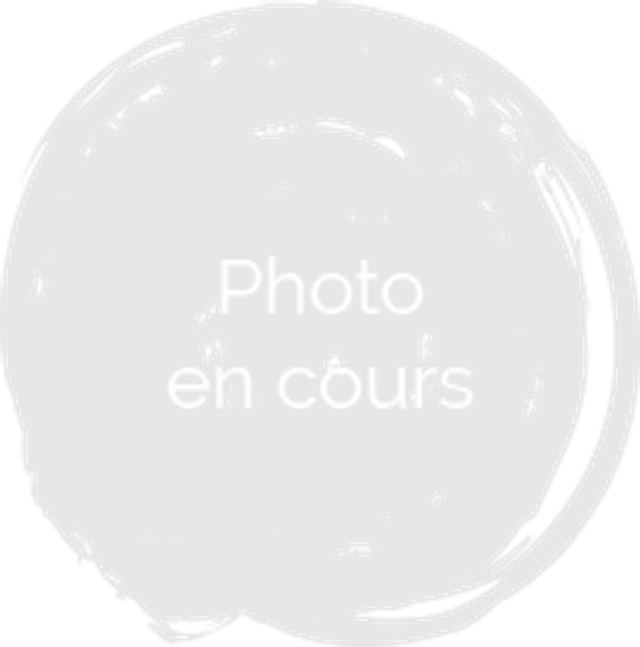 Gelée de pomme pot de 370 g