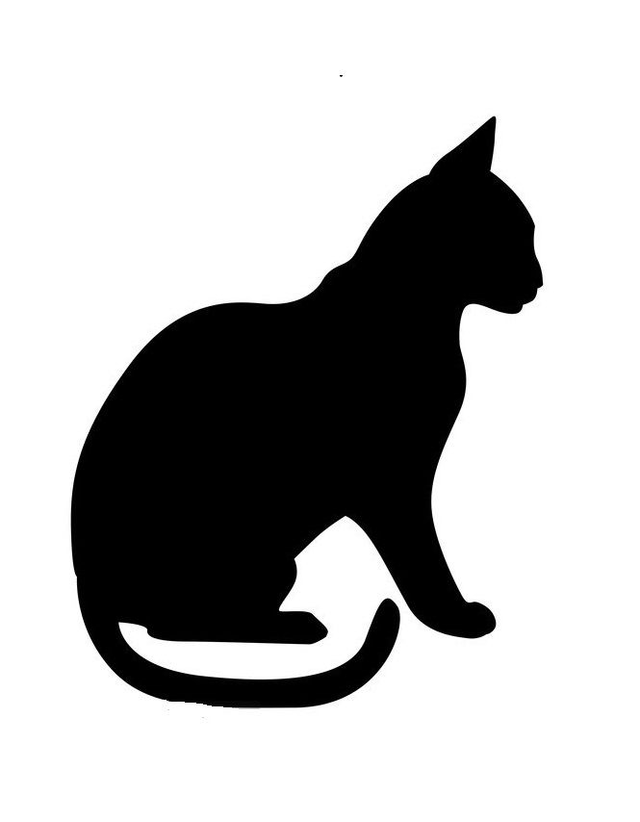Broche Chat 5