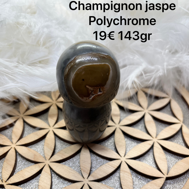 Champignon jaspe polychrome 