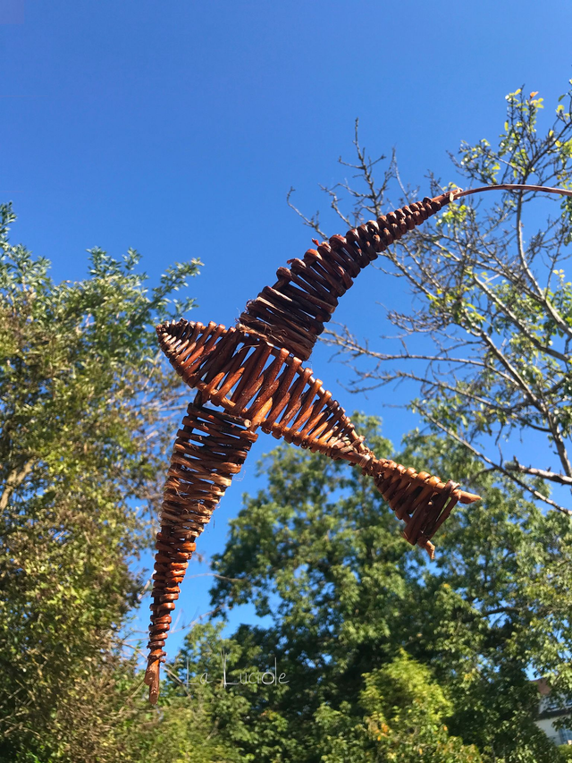 Initiation à la sculpture d'osier (les oiseaux)