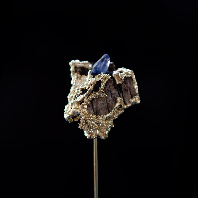 Broche Apothécie - 4/6