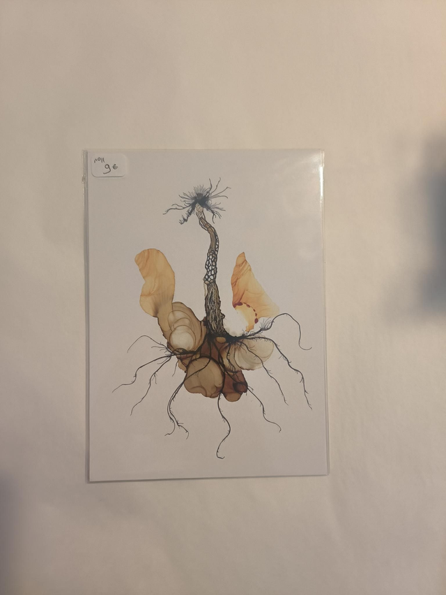 Carte N11