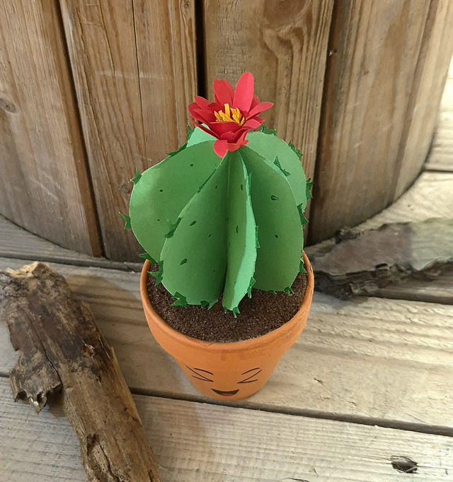 Baby plante "Joy"