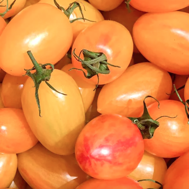 Tomate cocktail Blush