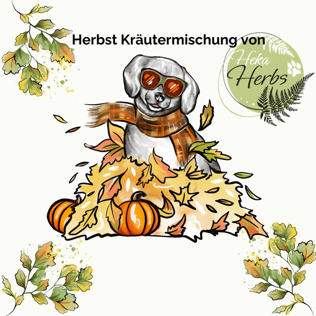 Herbst Kräutermischung