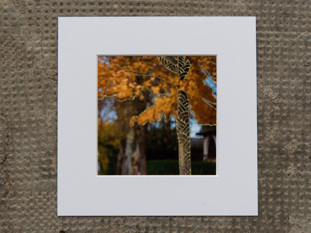 Automne à Cologne - 12x12