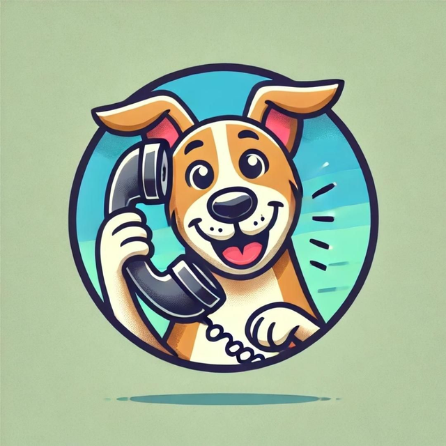 Asesoramiento por videoconferencia 