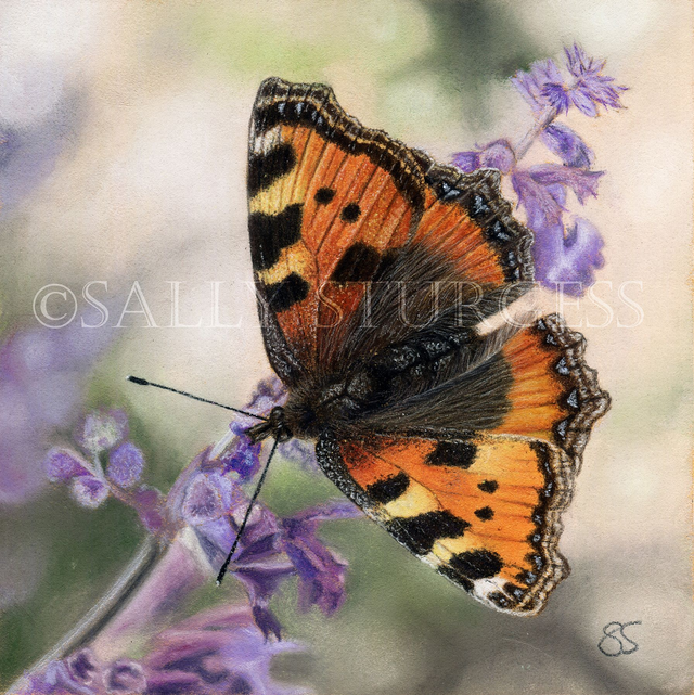 "Tortoiseshell on Lavendar" 5.5x5.5" Limited Edition Print