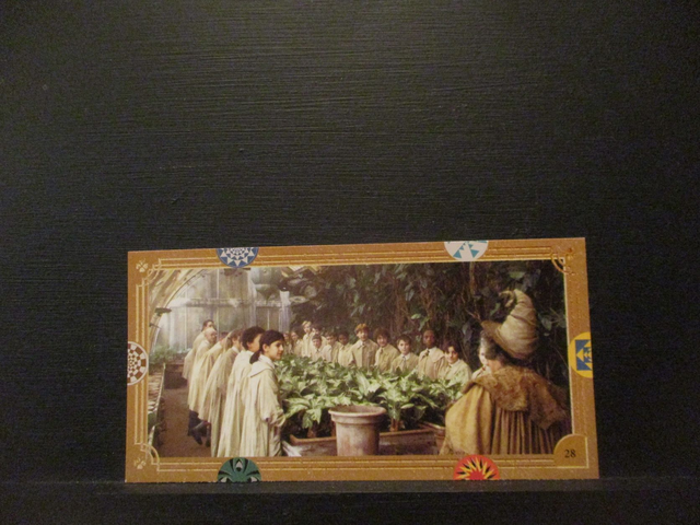 Harry Potter Original Trading Card #28