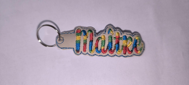 Porte clef maître multi 