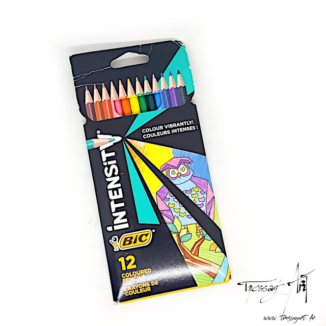 BIC - CRAYONS DE COULEUR INTENSITY PAR 12 - CR008