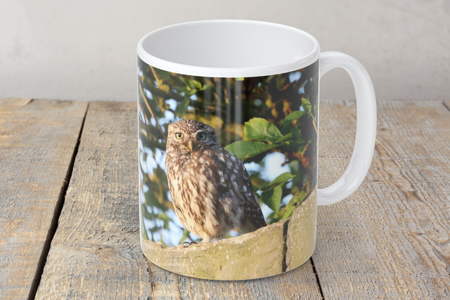 “Little Owl” Mug
