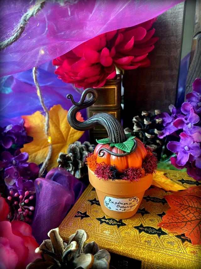 Expériences botaniques