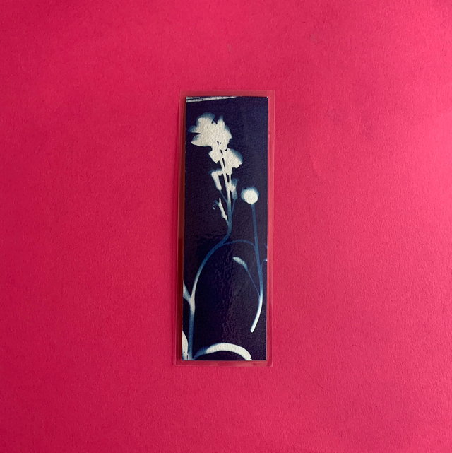 Marque page cyanotype végétal original sur papier épais et plastifié