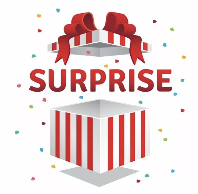Box Surprise Noël Édition limitée 