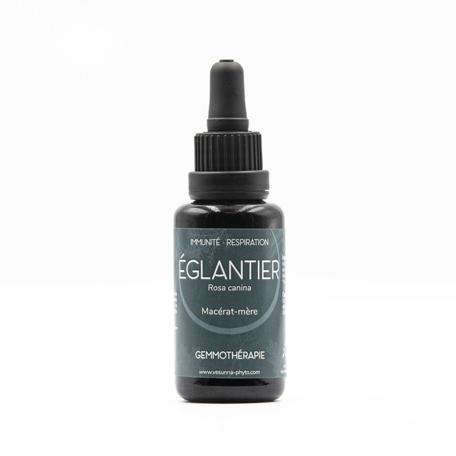 Eglantier Rosa canina –  Macerat de Jeunes pousses bio 30 ml /Vesunna 