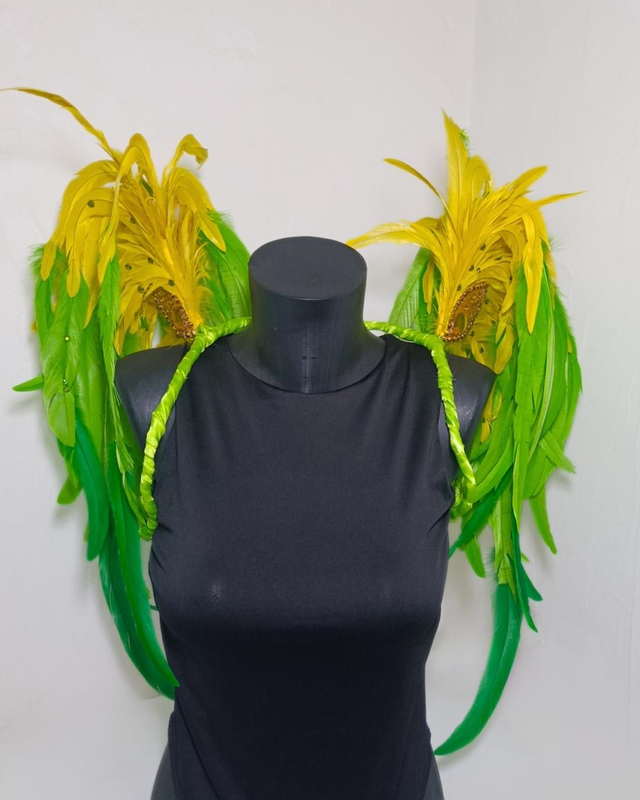 Costeiro Cleonina Brasil