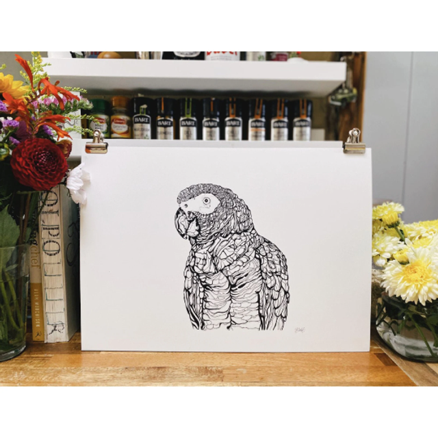 B&W A3 print - parrot