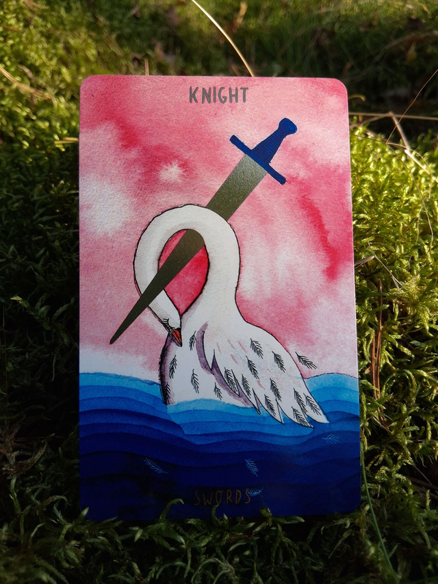 Self Love Tarot: a body-positive Tarot deck * by Hanna Tricoire