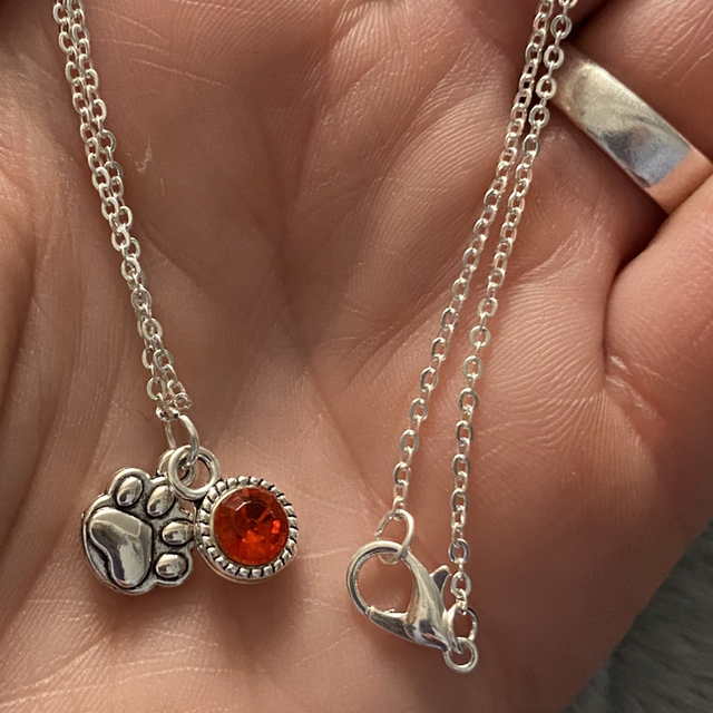 January birth stone necklace with paw charm