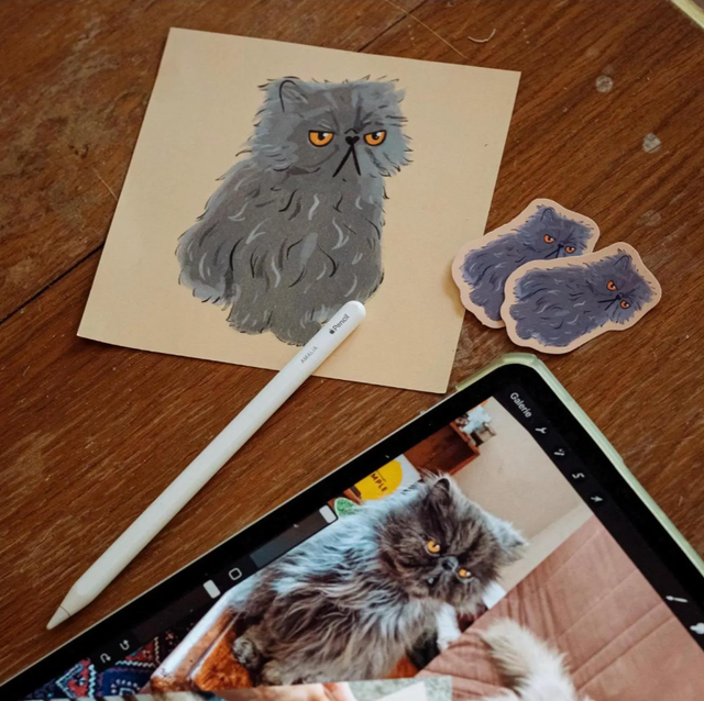 Portrait animaux de compagnie