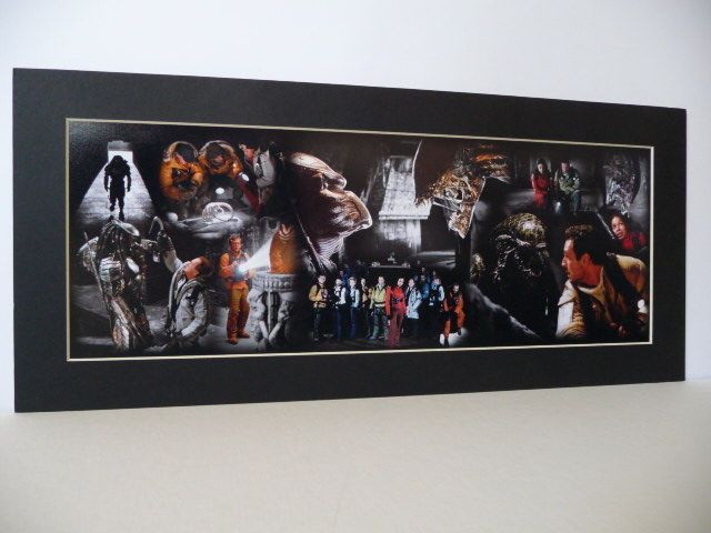 Aliens vs Predator Print