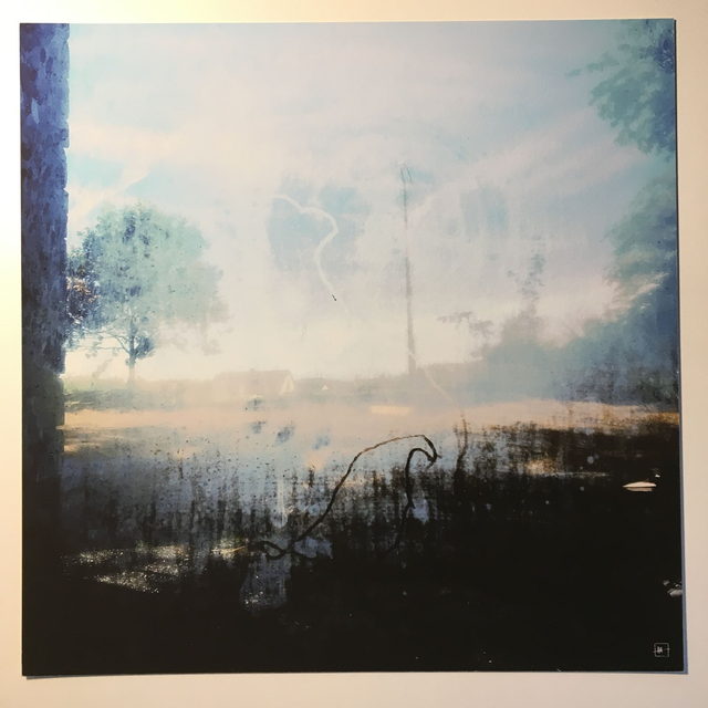 "Bird" - Tirage Photo FineArt (30x30 sans cadre)