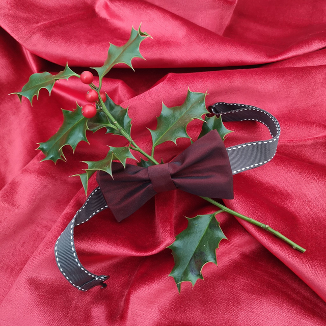 Noeud papillon double