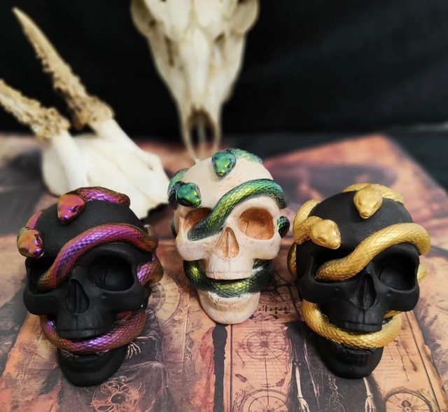 Statua Teschio con Serpenti - Protezione e Rinascita