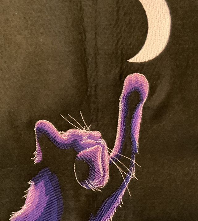 Cat Reach for the moon