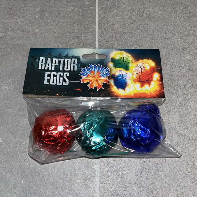 Raptor eggs