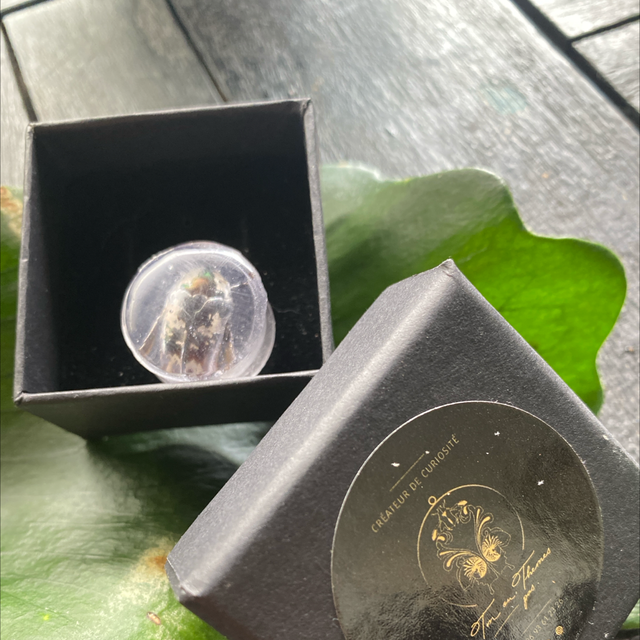 Écarteur, plug, 20 mm